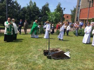 Dąb Niepodległości posadzony przed naszym kościołem! 